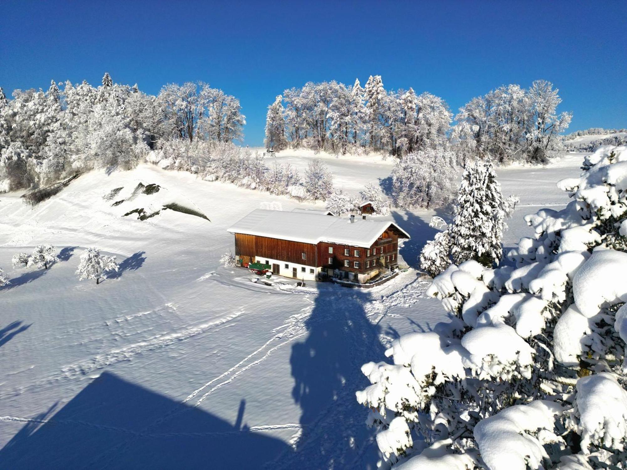 Vila Bergoase Hohenegg Lingenau Exteriér fotografie