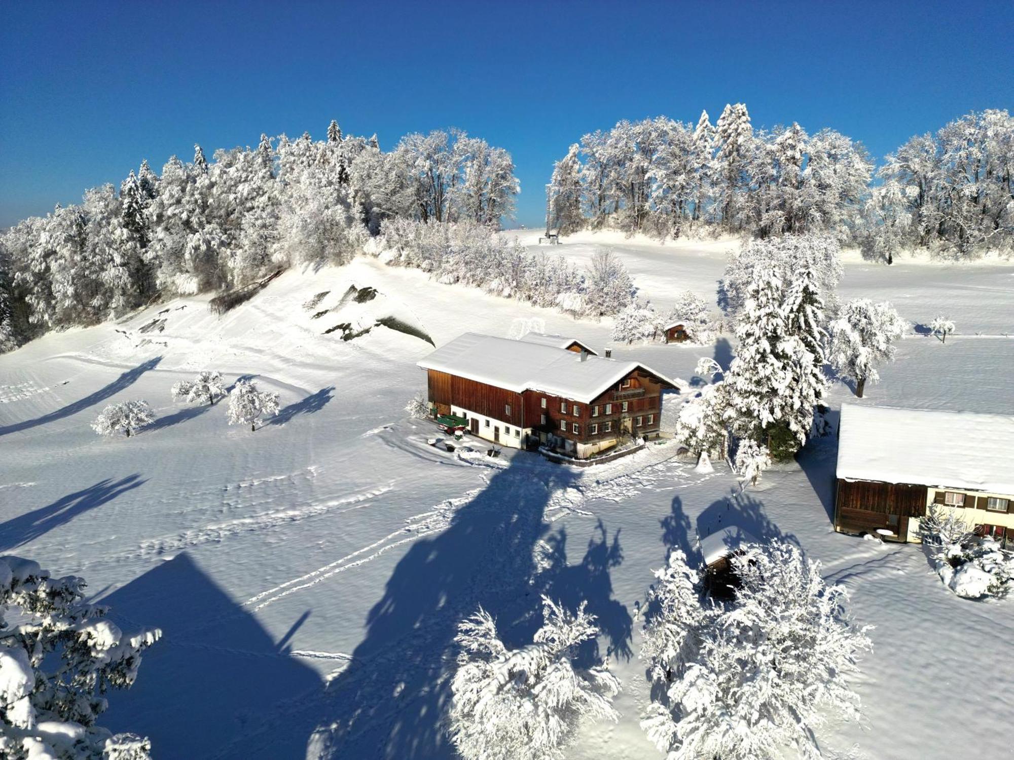 Vila Bergoase Hohenegg Lingenau Exteriér fotografie