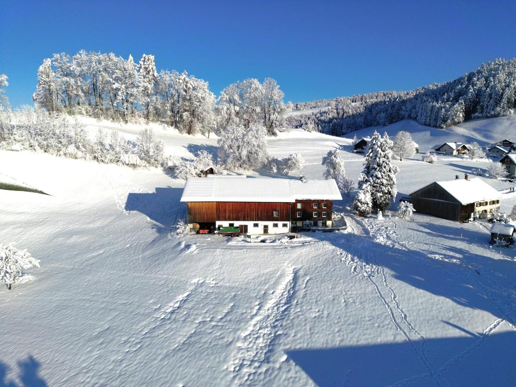 Vila Bergoase Hohenegg Lingenau Exteriér fotografie